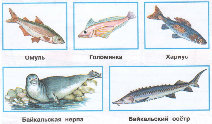 Решение рисунок 1