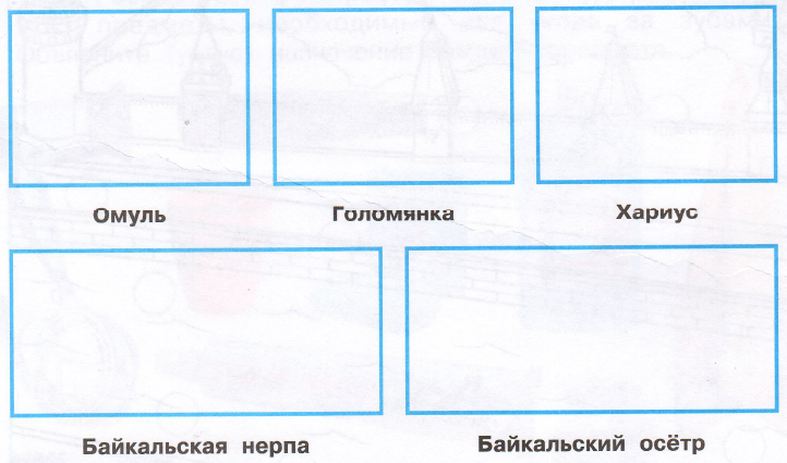 Задание рисунок 1